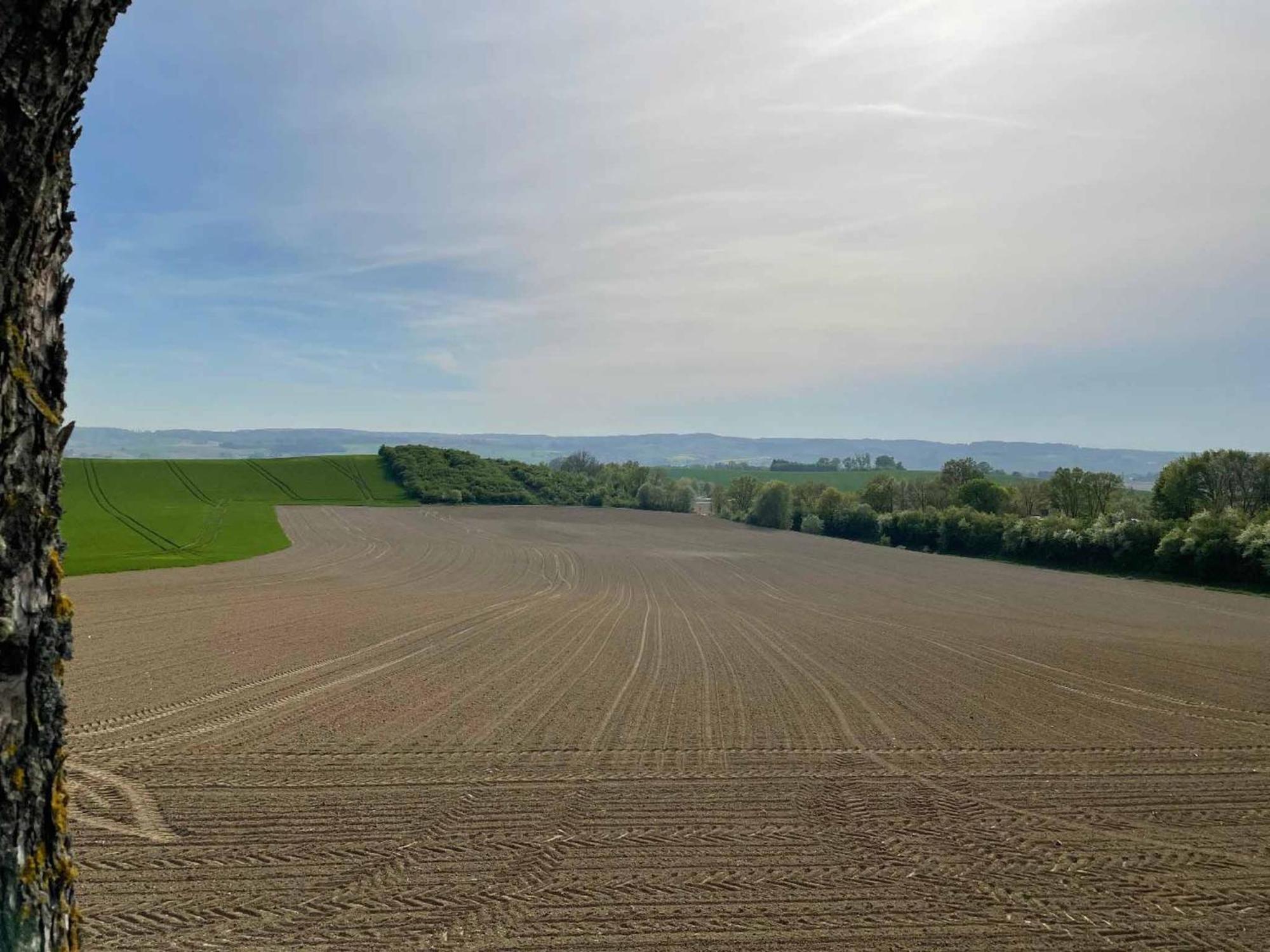 Appartement Am Brunnenplatzl Mit Bademantelzugang Bad Griesbach  Eksteriør billede