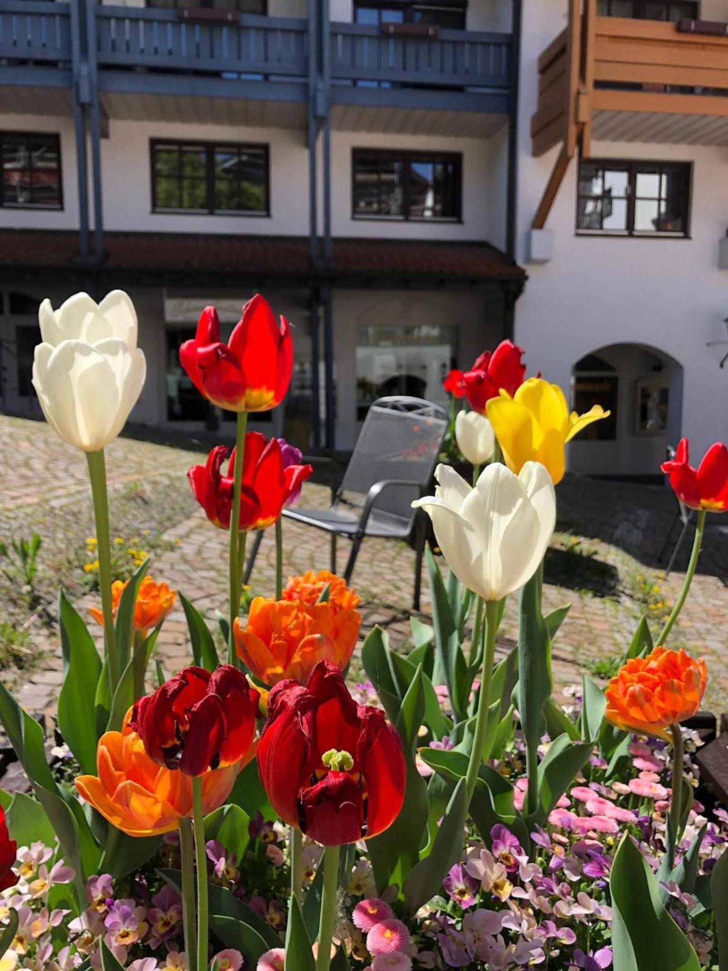 Appartement Am Brunnenplatzl Mit Bademantelzugang Bad Griesbach  Eksteriør billede