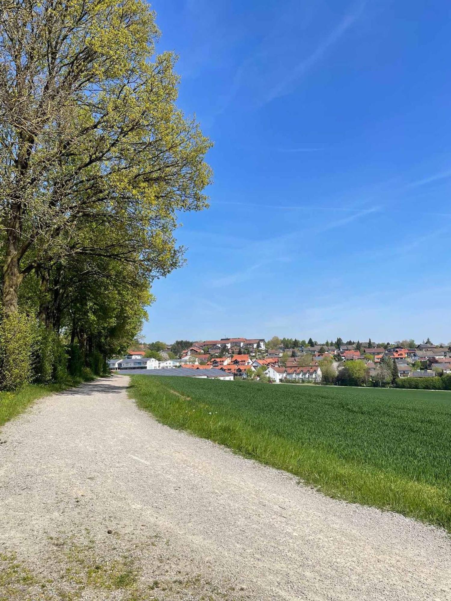 Appartement Am Brunnenplatzl Mit Bademantelzugang Bad Griesbach  Eksteriør billede